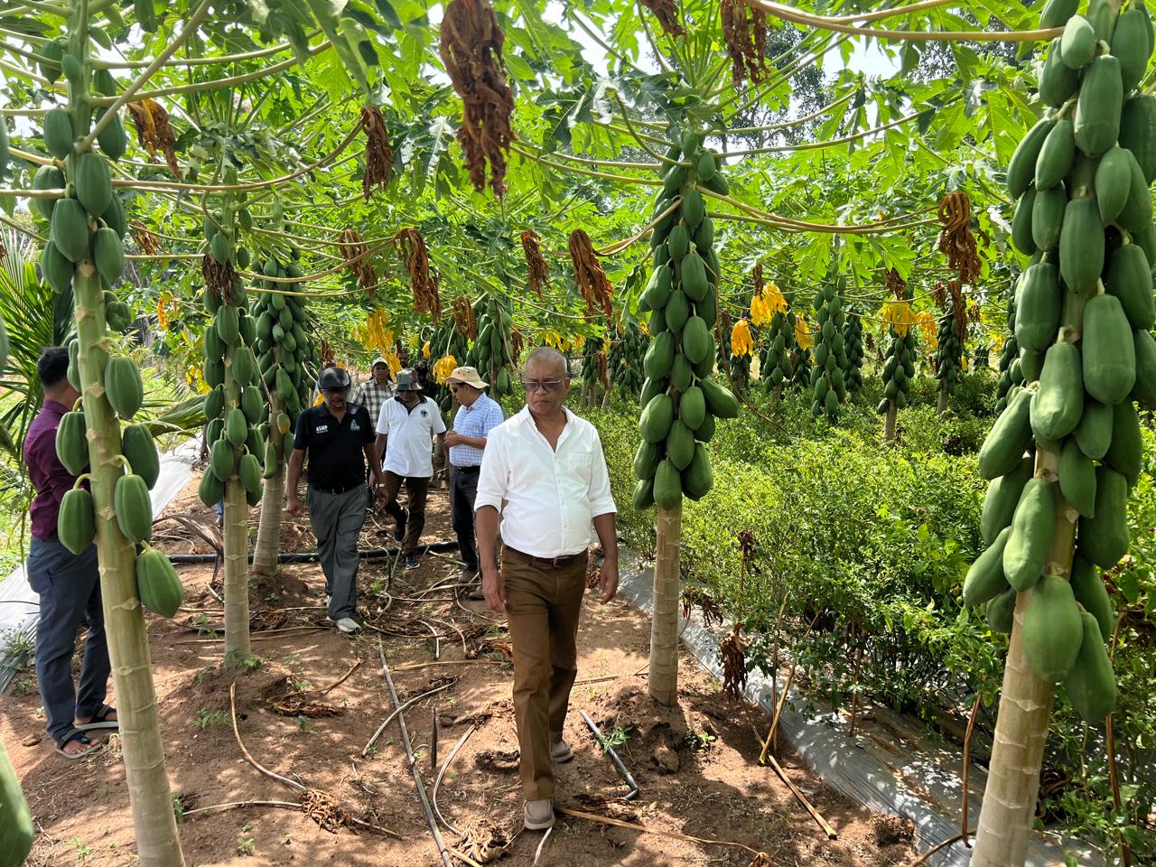 ලෝක බැංකු ආධාර යටතේ ක්‍රියාත්මක කෘෂි ව්‍යපෘතිවල ප්‍රගතිය බලයි