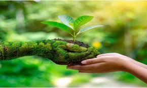 ජාතික පාරිසරික (සංශෝධිත) පනත් කෙටුම්පත පාර්ලිමේන්තුවට ඉදිරිපත් කිරීමට අනුමැතිය