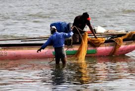 පොළොන්නරුව දිස්ත්‍රික් මිරිදිය ධීවර ගැටලු විසඳීමට විශේෂ වැඩපිළිවෙළක්