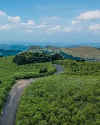 ‘දිට්වා’ නිසා වසා දැමූ රිවස්ටන් අද සිට යළි විවෘතයි