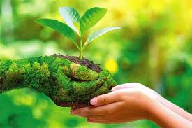 ජගත් පරිසර දින ජාතික සැමරුම් වැඩසටහන කෑගල්ලේදී