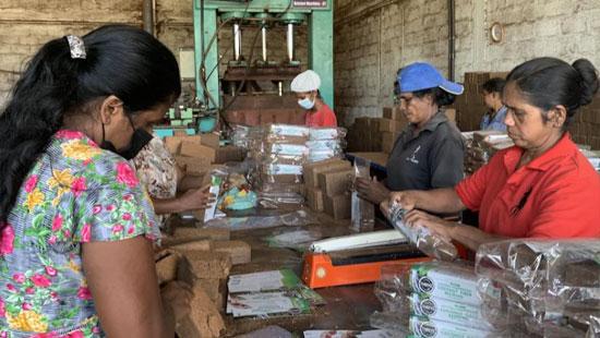 ADB approves $100 million loan to support SMEs in Sri Lanka