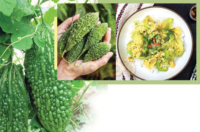 තිත්ත කරවිල රස කරලා කමු