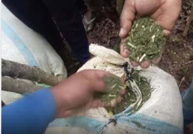 රුපියල් කෝටි 1.5 කට ආසන්න වටිනාකමකින් යුත් වියලි ගංජා තොගයක් පොලිස් භාරයට