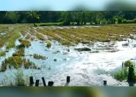 වගා හානිවලට කඩිනම් හානි පූර්ණ ක්‍රියාවලියක්