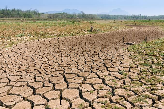 නියගයෙන් විපතට පත් වගාවන්ට කඩිනමින් කෘෂි රක්ෂණ වන්දි ගෙවීමට රුපියල් මිලියන 3000 ක්