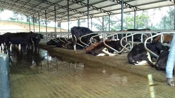ගොවිපළ නිවාස සඳහා රක්ෂණාවරණයක්