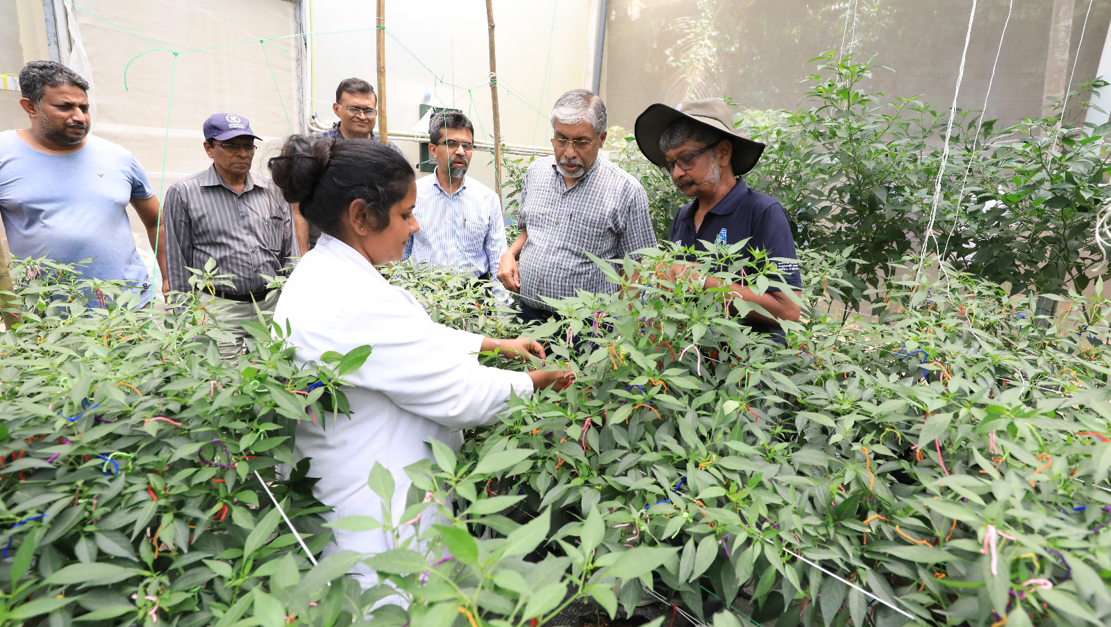 මහනුවර කෘෂි නව්‍යකරණ ව්‍යාපෘති පිළිබඳ සොයා බැලේ 