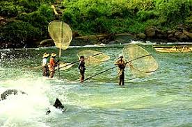 මිරිදිය මත්ස්‍ය නිෂ්පාදන අස්වනු ආරක්ෂා කිරීමට නිත්‍ය ජලාශවලට බාධක දැල්