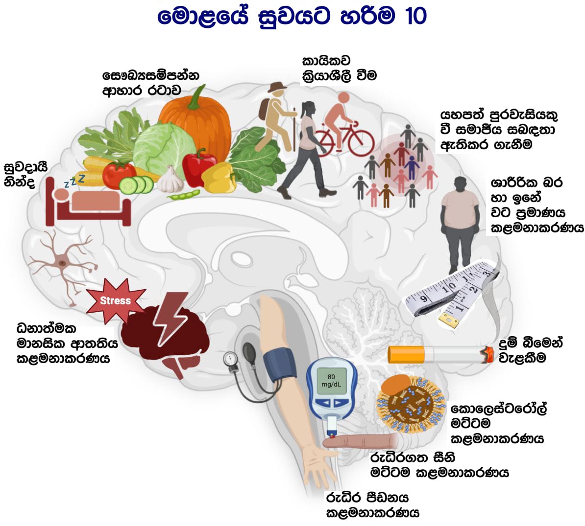 මොළයේ සෞඛ්‍ය ප්‍රවර්ධනයට තානාපතිවරු 100 ක් සමාජගත කෙරේ