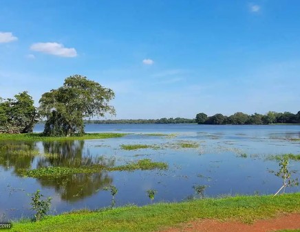 ලෝක බැංකු ආධාරයෙන් සුළු වාරි වැව් 296 ක් ප්‍රතිසංස්කරණයට