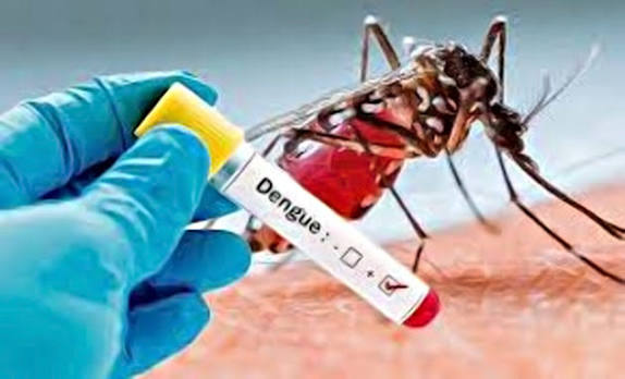 ඩෙංගු රෝගීන් සංඛ්‍යාව 78,125ක් දක්වා ඉහළට