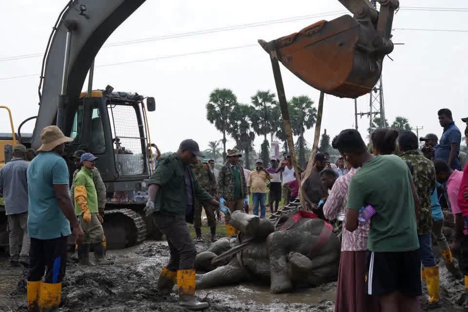 න ‘තල්ඇටයා’ ඇත් පැටවාගේ ජීවිතය රැකගැනීමට වනජීවී නිලධාරීන්ගෙන් මෙහෙයුමක්