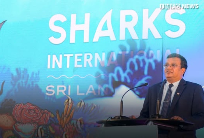 ලෝක පර්යේෂකයන්ගේ සහභාගීත්වයෙන් 'Sharks International 2026' ජාත්‍යන්තර සමුළුව කොළඹදී ඇරඹේ