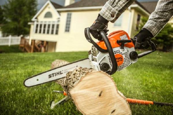 Cabinet approves proposal to ban import of chainsaws