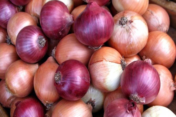 Import levy on big onions hiked
