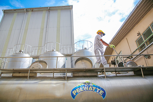 Pelwatte Dairy begins a renewed mission to meet the domestic milk demand