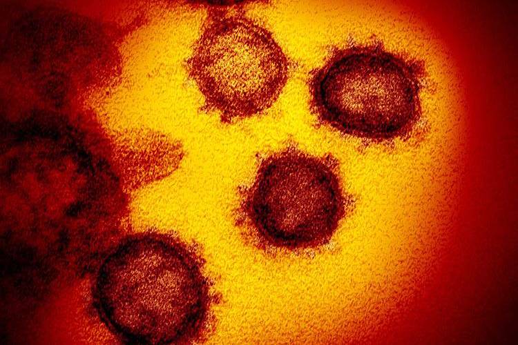 Covid-19 virus accidentally leaked by an intern at Wuhan lab: US media