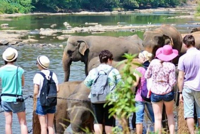 SL attracts over 18,000 tourists in first three weeks of June