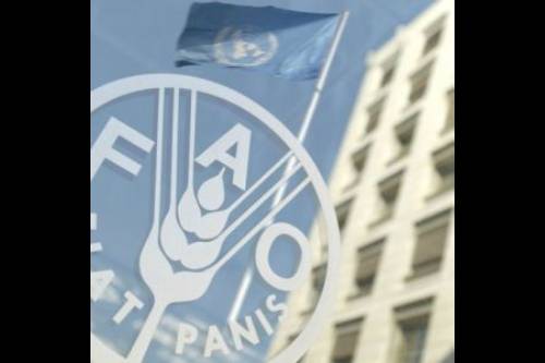 FAO and Sri Lanka to establish GI registration-based system
