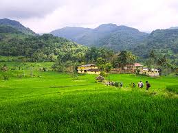 ප්‍රජා ඵලදායී ආදර්ශ ගම්මාන වැඩසටහනට අනුමැතිය 